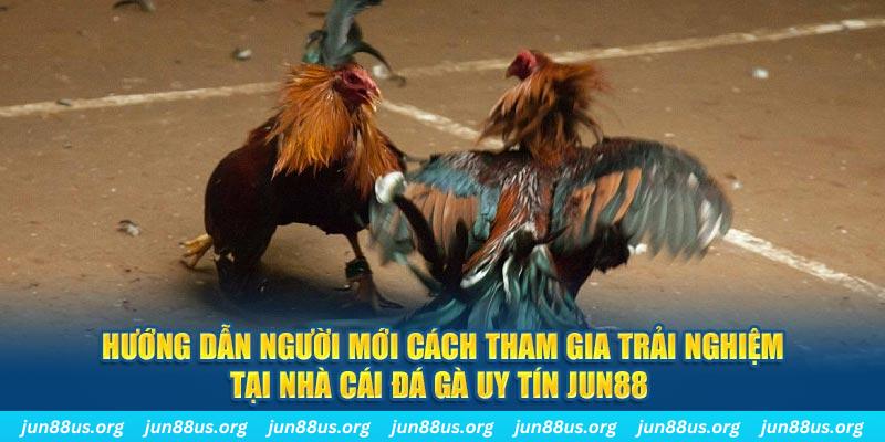 vipwin CQ9 Điện Tử