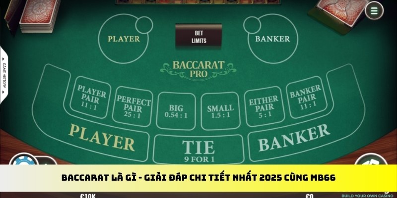 vipwin gà chọi cu cần