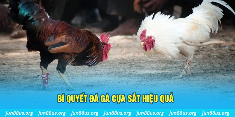 vipwin xin 1 slot là gì