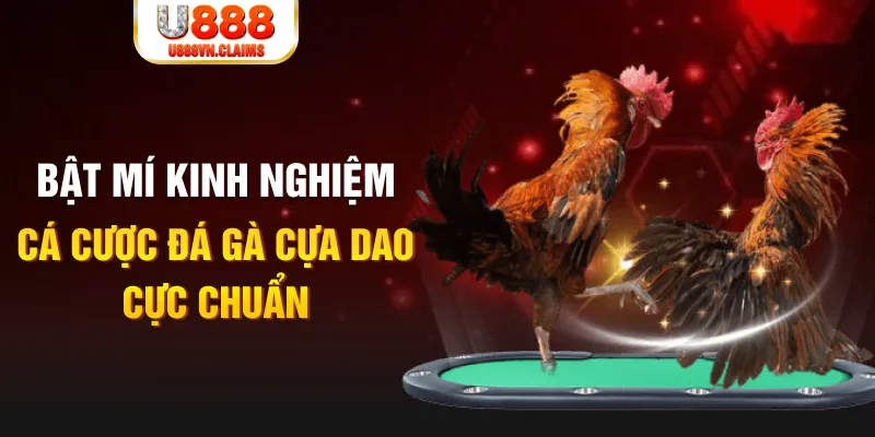 vipwin tỷ lệ cá cược châu á là gì