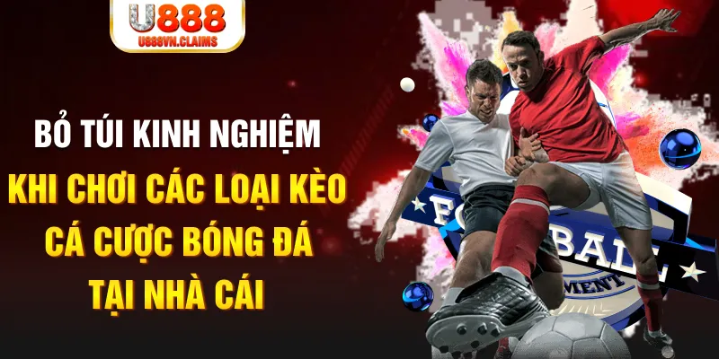 vipwin Tài Xỉu