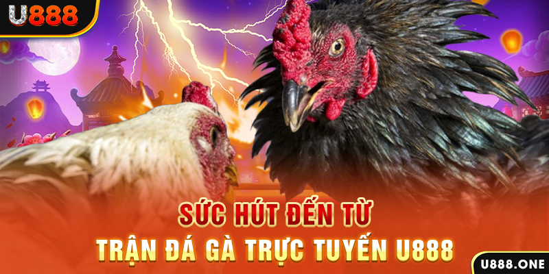 vipwin nổ hũ b29 là gì