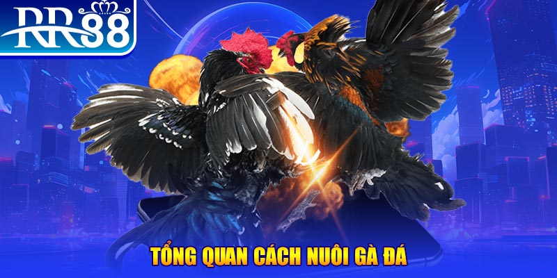 vipwin VA Điện Tử