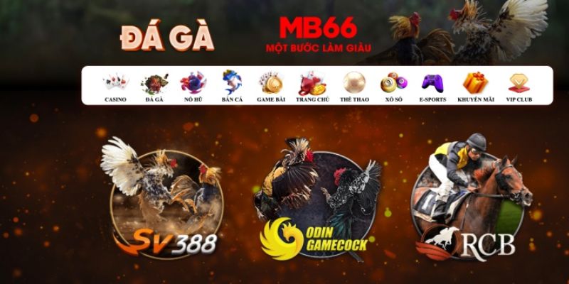 vipwin đăng nhập poker số 1