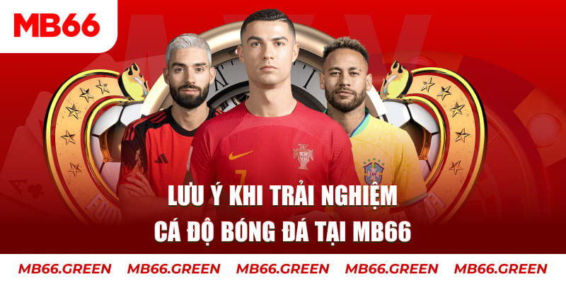 vipwin cá cược là gì
