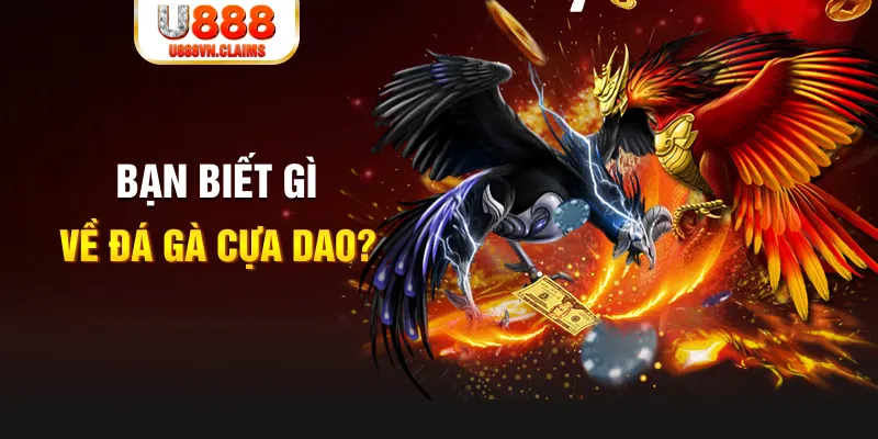vipwin nổ hủ là gì