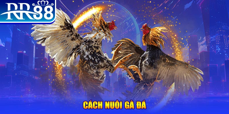 vipwin xổ số an giang