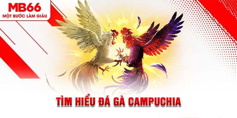 vipwin game đánh bài trên máy tính