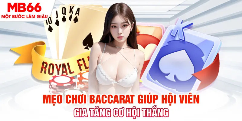 vipwin Phi Đội Ưu Tú