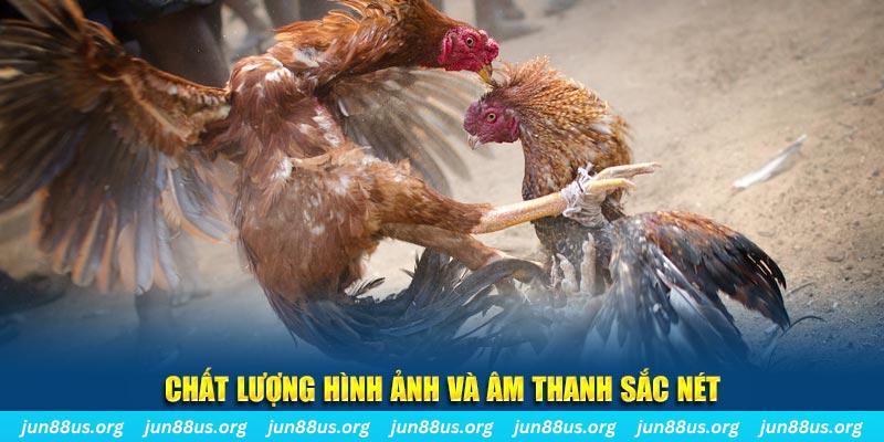 vipwin đăng nhập roulette live