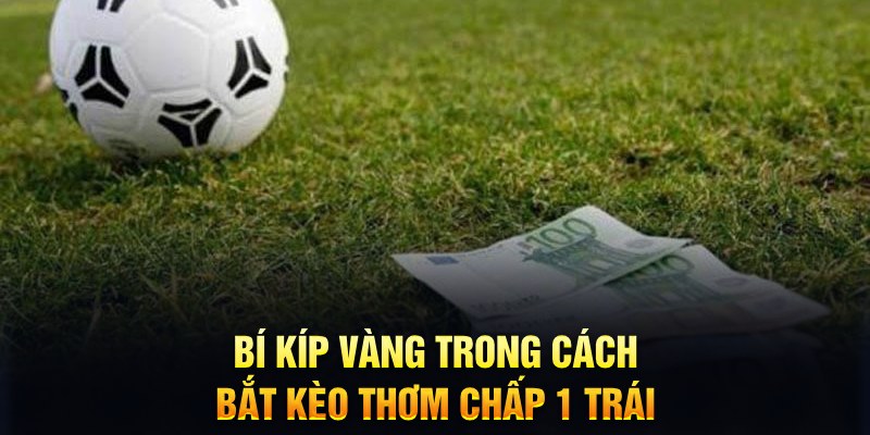 vipwin xổ số thứ tư hàng tuần