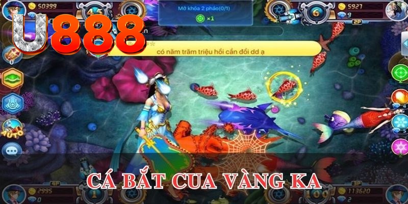 vipwin kết quả xổ số hôm nay