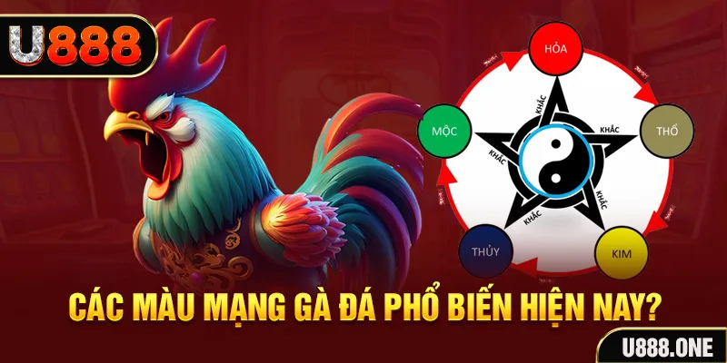 vipwin trực tiếp đá gà 88