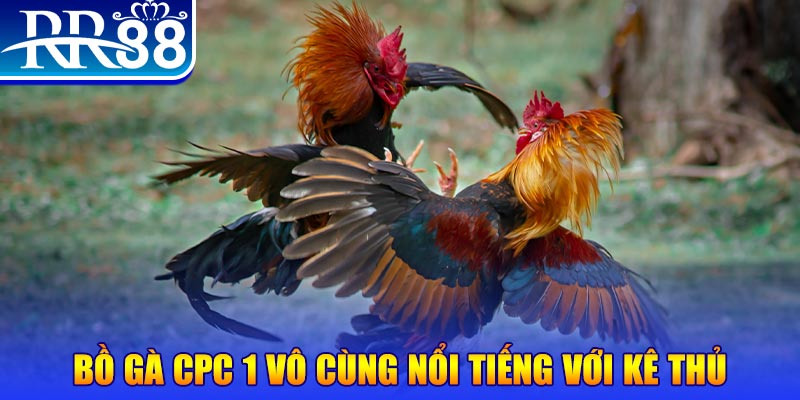 vipwin game máy bay nổ hũ