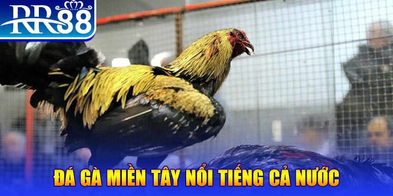 vipwin JILI Game Bài 3d