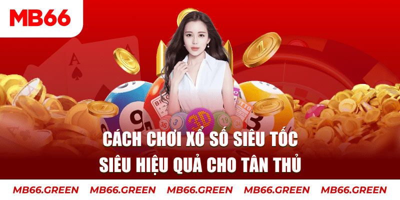 vipwin Cỡ bảy