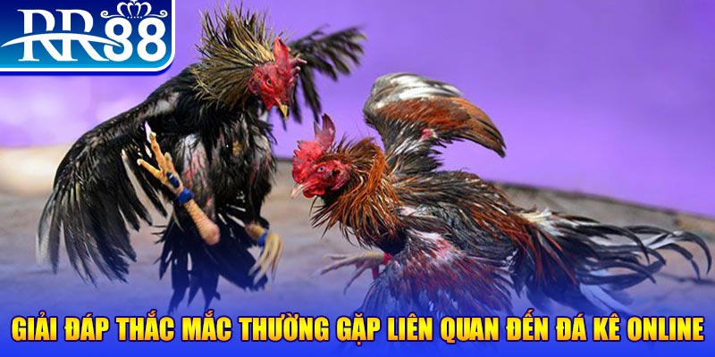 vipwin slot machine là gì