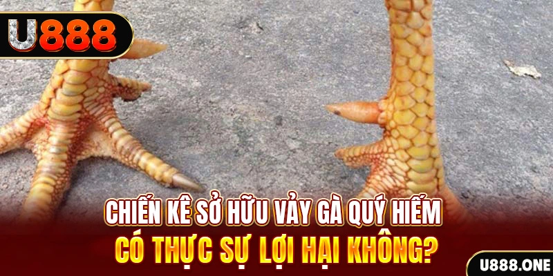 vipwin nohu .mx nổ hủ là gì