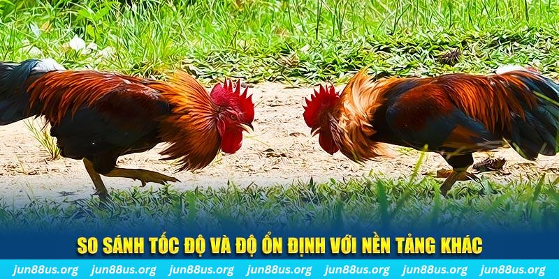 vipwin đá gà hôm nay