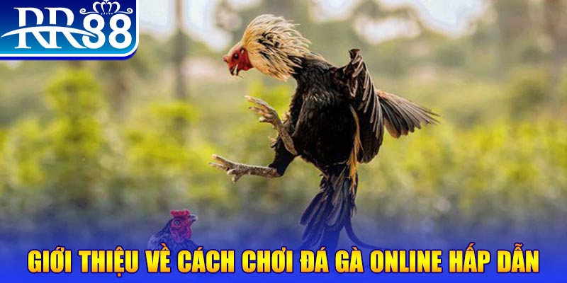 vipwin game nổ hũ rút tiền mặt là gì