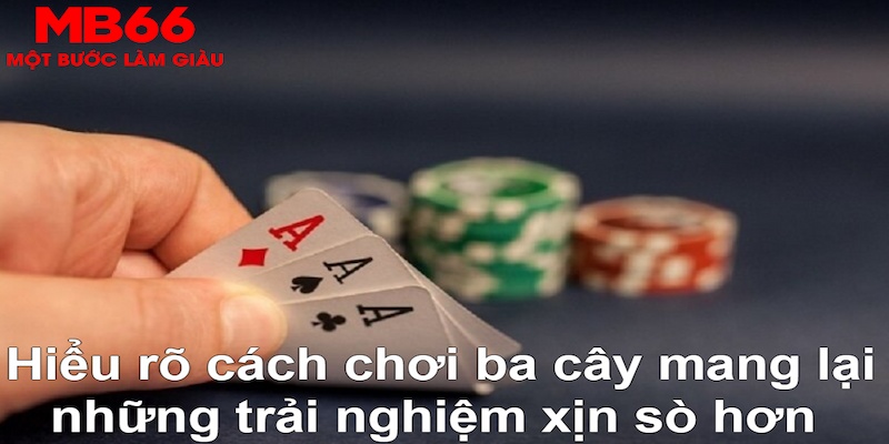 vipwin xổ số đài bắc