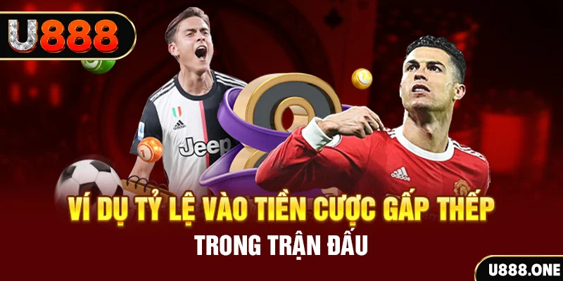 vipwin kết quả xổ số 30 ngày