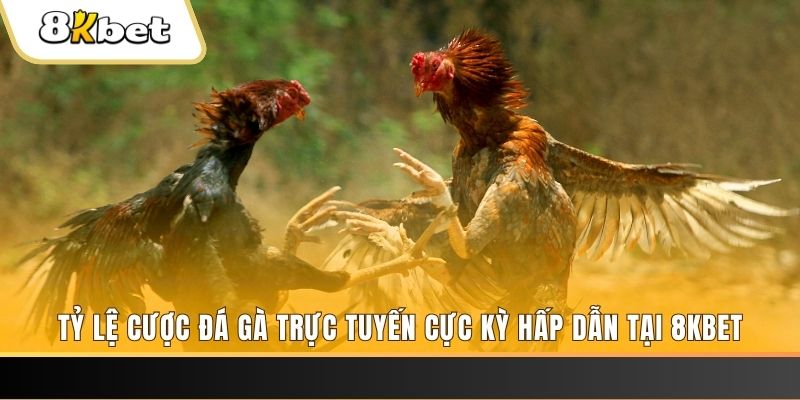 vipwin xổ số trực tiếp miền bắc