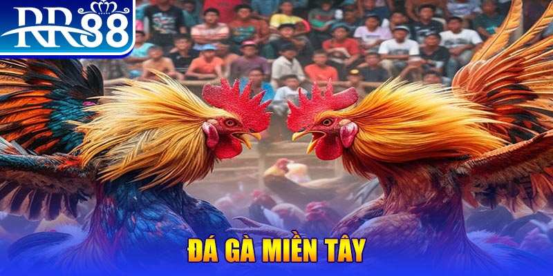 vipwin đăng nhập nổ hũ