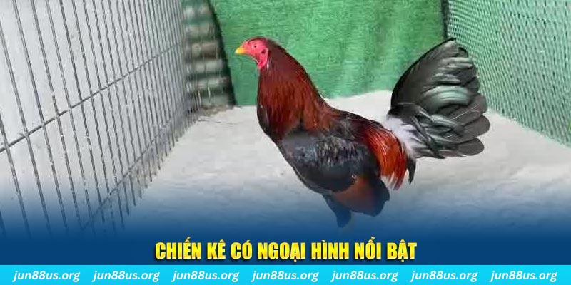 vipwin chạy quảng cáo cho game bài bị phạt như thế nào