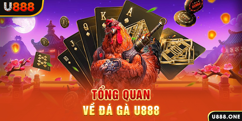 vipwin ILOVEU Điện Tử