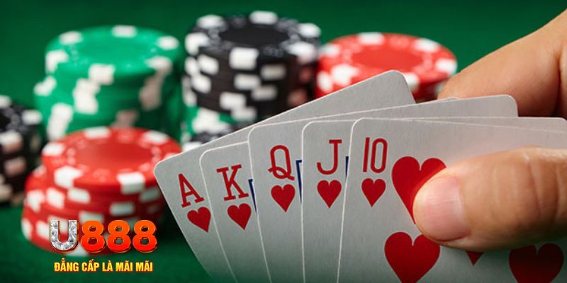 vipwin đá gà trực tiếp thomo 67