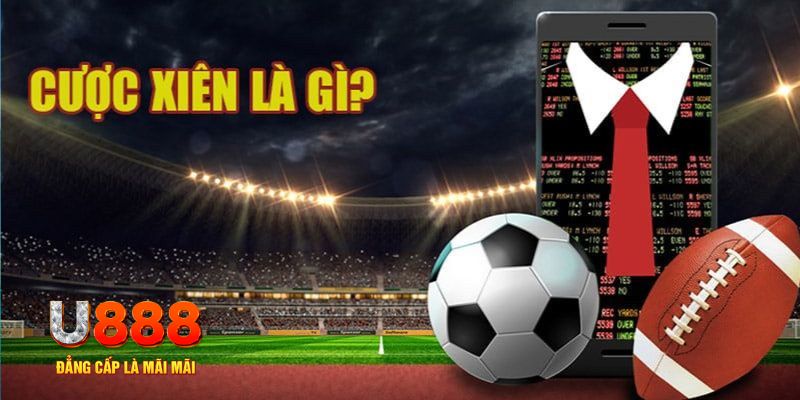 vipwin slot nghĩa la gì